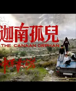 《中东大宝荐2》爆笑回归！寻宝之旅再升级，揭秘背后的文化冲突与喜剧内核