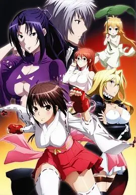 《鹡鸰女神第二季》：当后宫遇上战斗，你以为是福利？网友：老套路了！